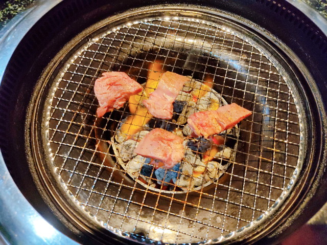 どんどん食べたもの１１