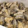 東京のおすすめ牡蠣食べ放題まとめ17選【生牡蠣や安い店・ランチも】
