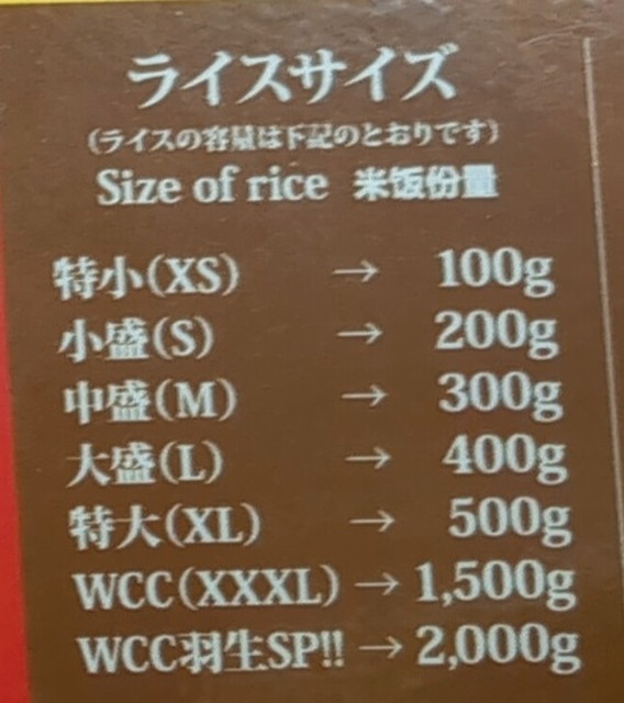 ゴーゴーカレーご飯の量A