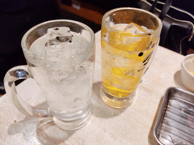 ガブリチキン食べ飲み放題１４