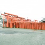 Thumbnail of post image 039