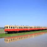 Thumbnail of post image 159